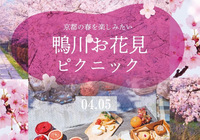 🌸京都北山で桜と春の植物園さんぽ✨賀茂川ピクニック🌸