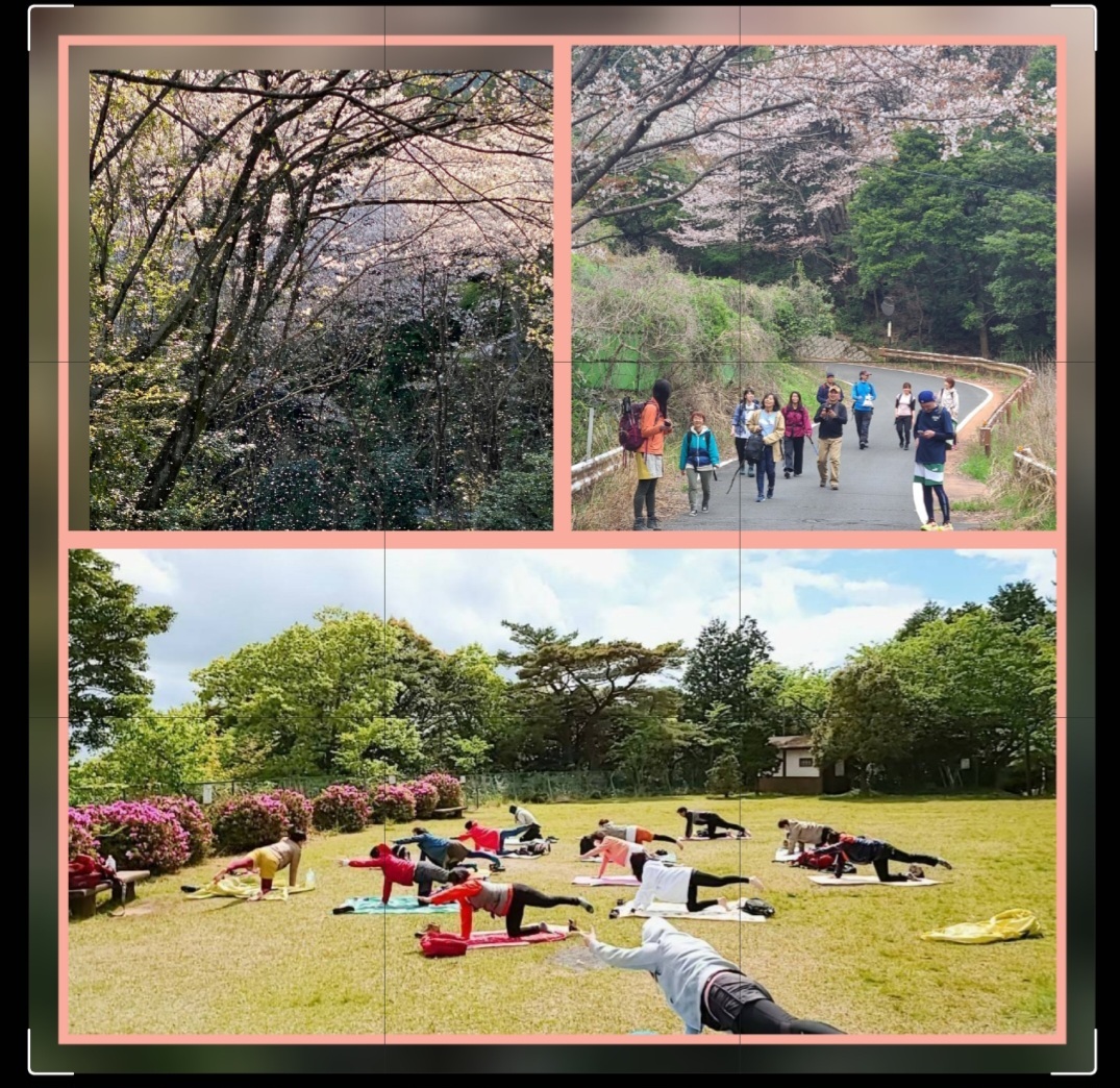 4月13日(日)桜咲く多度山で山☆YOGA (三重県)