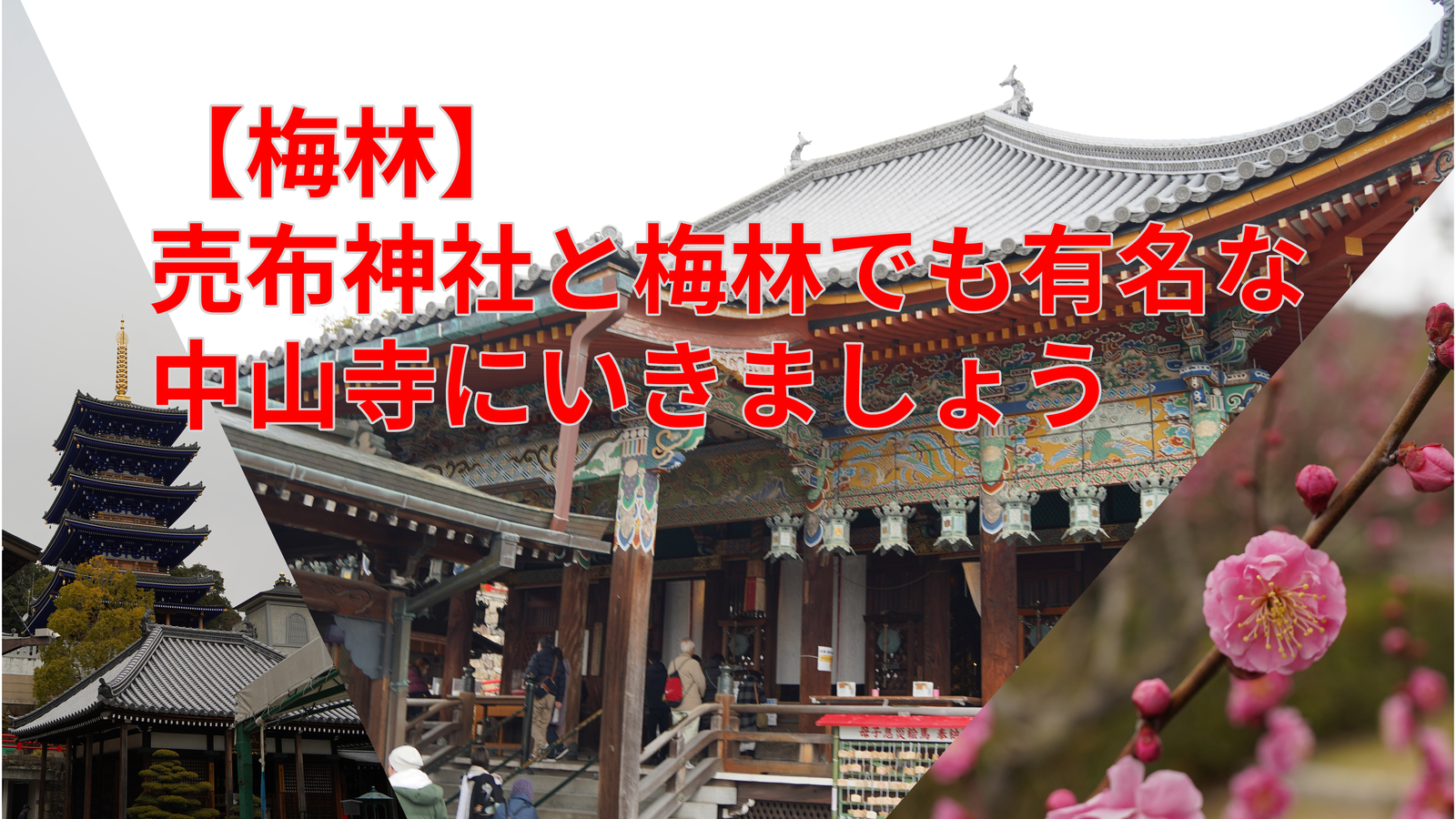 【梅林】売布神社と梅林の中山寺に行ってみよう