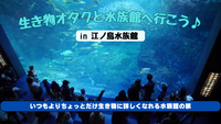 【新江ノ島水族館】生き物オタクと水族館へ行こう🐟 いつも行く時よりも生き物に詳しくなれるかも？