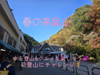 【高尾山登山×食べ歩き】自然と食べ歩きを満喫する特別な休日🌸✨