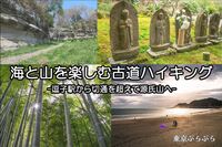 【初心者さん向け】海と山を楽しむ鎌倉古道を歩くハイキング