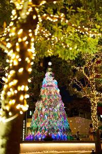 【女性主催】約40万球のシャンパンゴールドが輝くイルミネーションを見に行こう！20代30代限定🧇🥯🥖