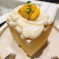 【早割中】新大久保の映えるカフェに行こう！おすすめはキューブトースト🌸🌸🌸