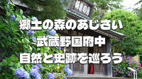 府中郷土の森のあじさいや自然、武蔵野国府中や廃線跡、神社仏閣などいろいろ巡ろう！