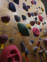 【3/22開催】初心者🔰ボルダリング会⛰️【初めての方チケット代返金💰️】