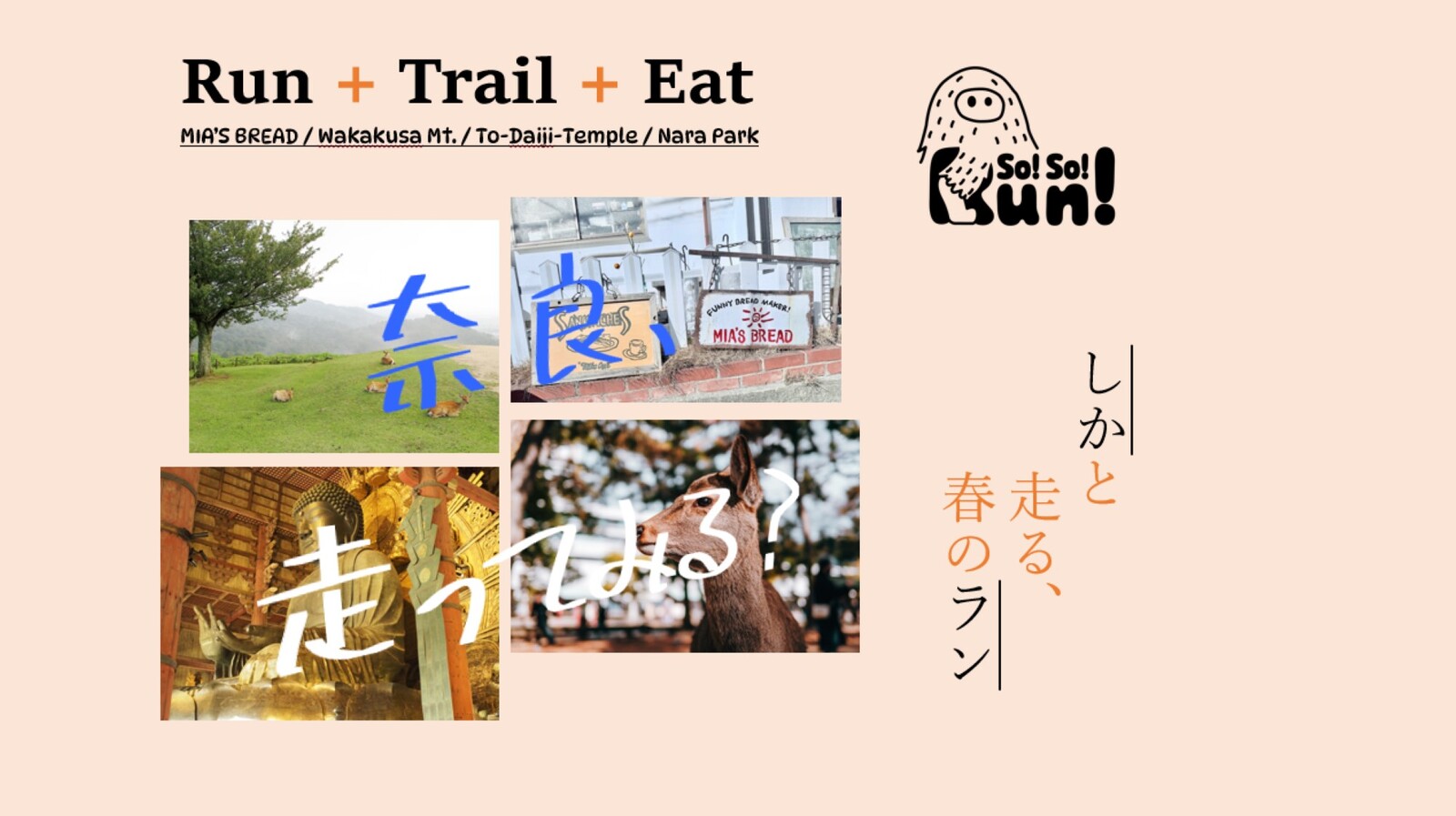 明日！開催確定！25/4/26(土)春の奈良市内をぼちぼち走ろう！「若草みちくさラン」ランニング