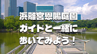 浜離宮恩賜庭園(大名庭園)の歴史や見どころ、草花など自然観察をガイド付きでまわってみよう！