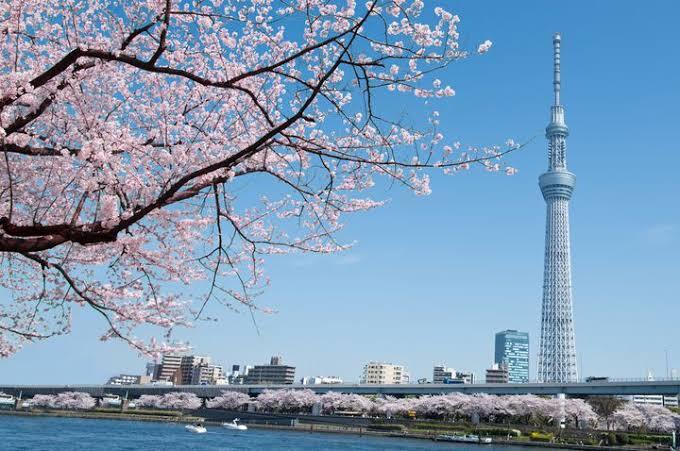 【20代限定】新生活目前！地方出身集まれ〜！