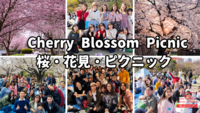 桜・花見・ピクニック@芝公園　※英語喋れなくてもOK