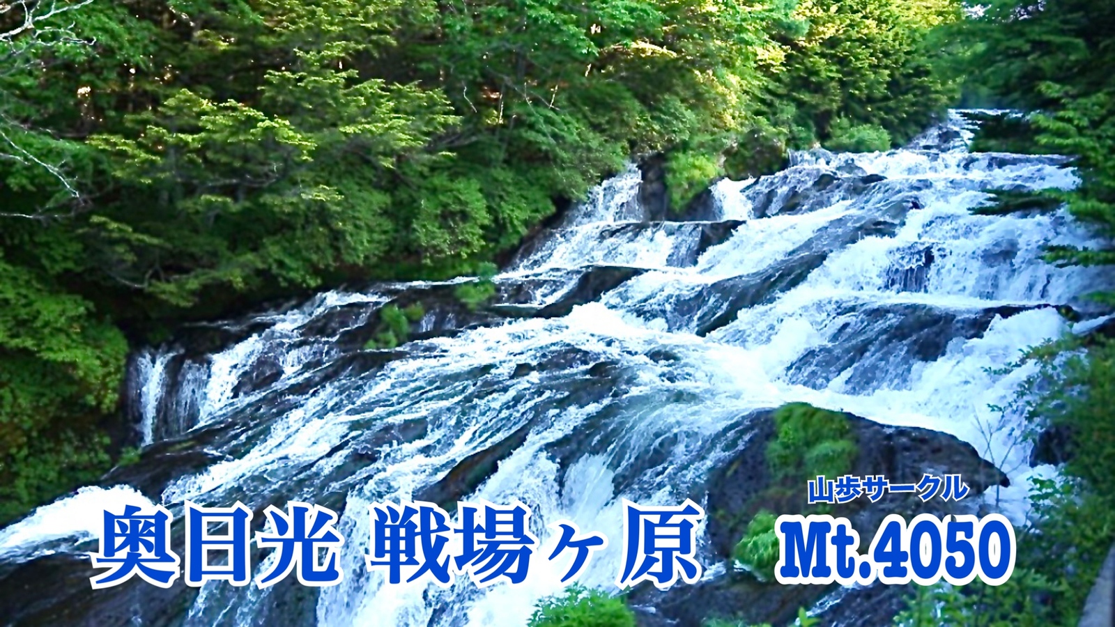 【高温のため中止】奥日光で夏の終わりのピュアハイキング🚗