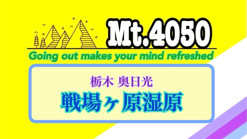 森と湿原と滝☆奥日光で夏の終わりのピュアハイキング🚗