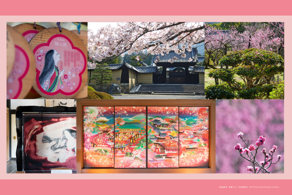 【京都観光 × 国際交流🌏】 隋心院 はねず踊り、名勝 小野梅園 、アート襖絵など✨
