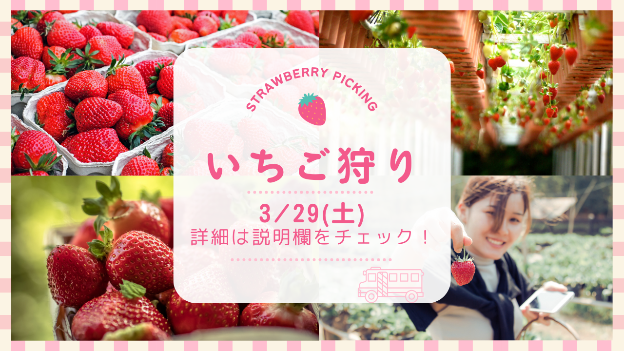 番外編 【 いちご狩り】甘酸っぱい春の味覚を楽しもう！