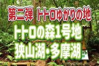 3/30  第二弾！★英会話コース追加★桜が咲く季節！◎トトロの森1号地・狭山湖・多摩湖を散策しよう！