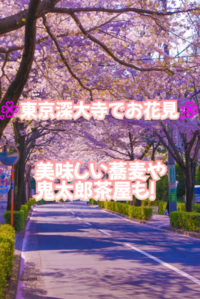 【深大寺でお花見🌸】春の彩りを楽しむひととき✨