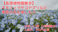 【長居植物園散歩】ネモフィラやゴデマリなど季節の花を楽しもう