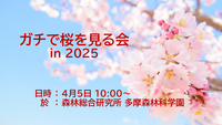 【ガチで桜を見る会】 いろいろな桜を鑑賞しよう！＠ 森林総合研究所 多摩森林科学園