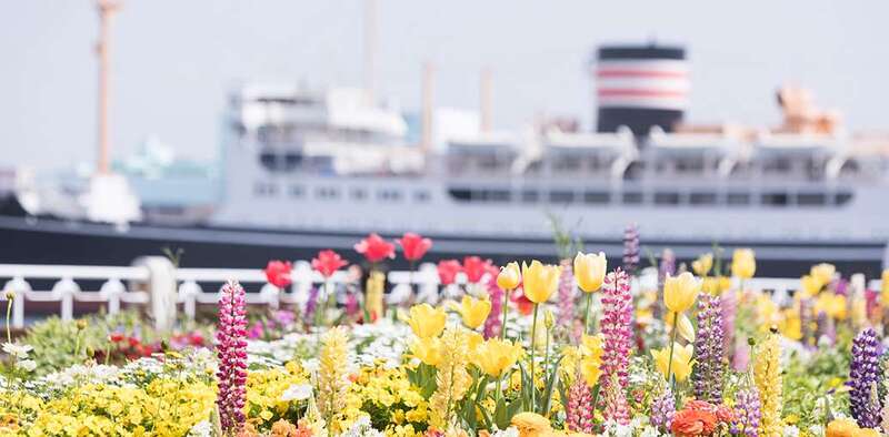 【横浜ベイエリア🚢】カメラ片手に♪フォトウォークをしよう🌷🌱🍀