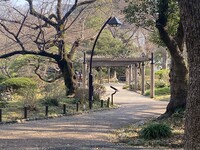 【日比谷公園】朝さんぽ と カフェトーク🚶🏻