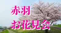 【赤羽×荒川沿い】春の風を感じるお花見会で心躍るひとときを🌸✨