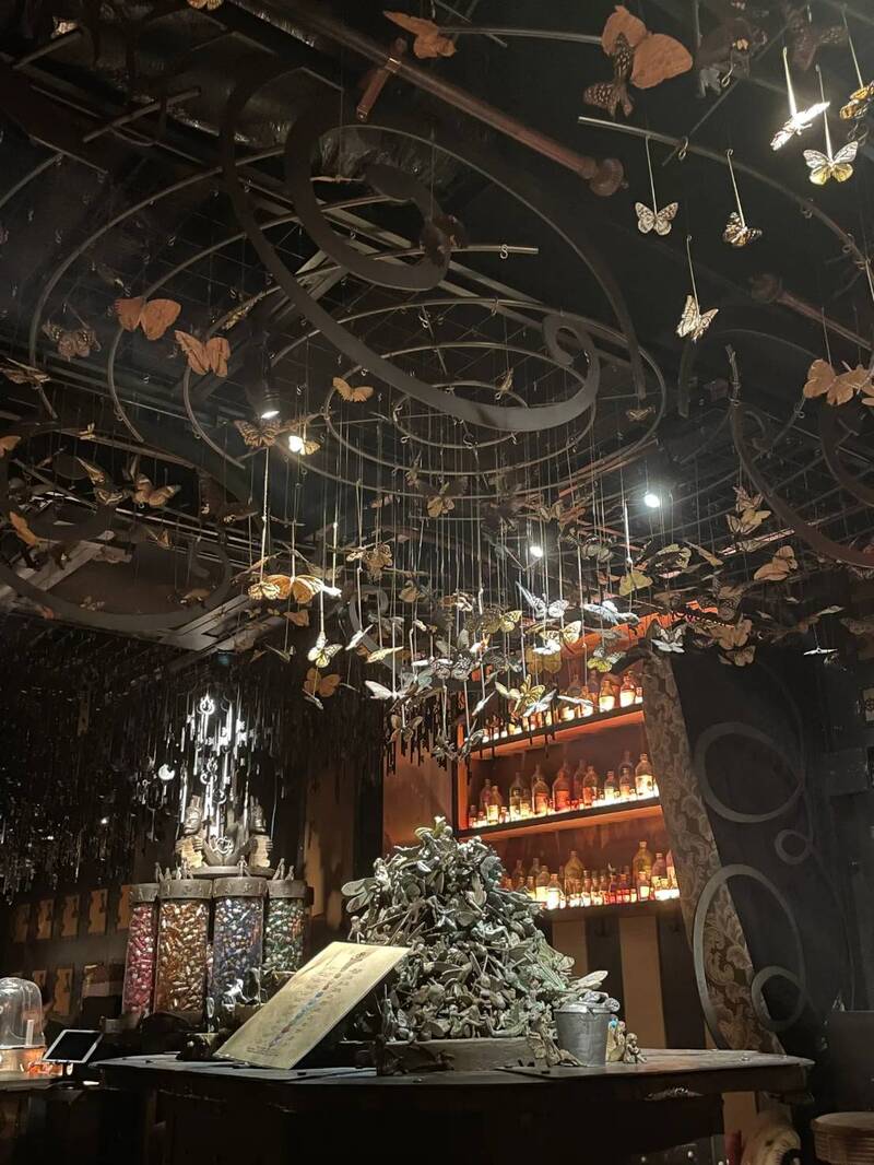 【20代30代限定】おとぎ話の世界？妖精のいるカフェ&バーに行こう🐤🐤