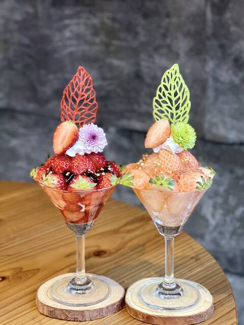 【女性主催】オシャなカフェに行こう！おすすめはフルーツの森パフェ🎀🍎🎈