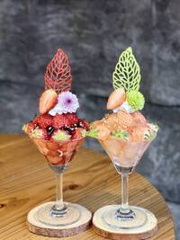 【女性主催】オシャなカフェに行こう！おすすめはフルーツの森パフェ🎀🍎🎈