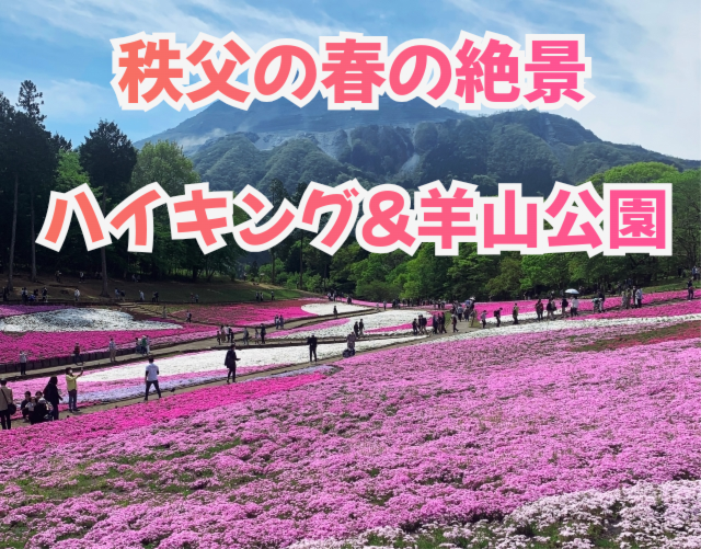 【芝桜✕ハイキング🌸】春の絶景を楽しむ特別な一日を一緒に！