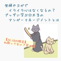 【20,30代限定】坐禅やヨガでイライラ心はなくなるの？ブッダに学ぶ☆本当のアンガーマネージメントとは