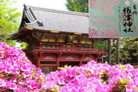 男女比調整で女性のみ募集！【根津神社でつつじ祭り限定御朱印！】4/12 14時！　根津駅　根津神社！