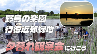 野鳥の楽園「行徳近郊緑地」の夕暮れ観察会に行ってみよう！