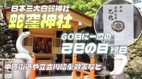 60日に一度の己巳(つちのとみ)の日に蛇窪神社に行ってみよう！中原街道・立会川史跡巡りもします♪