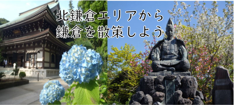 【紫陽花の時期に鎌倉へ】北鎌倉～鎌倉へ　お寺と中世の道を散策しよう（説明・解説有）