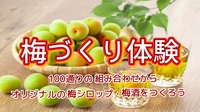 【100通りの組み合わせから、オリジナルの梅シロップ・梅酒をつくろう！】