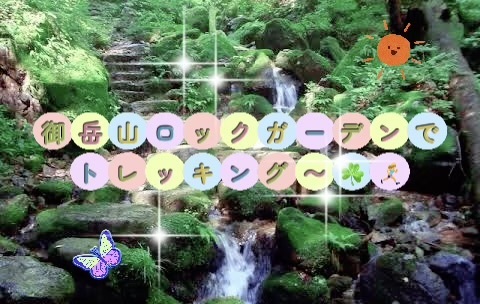 【男女主催】【初心者歓迎】御岳山ロックガーデンでトレッキング〜⛰️🏃‍♀️‍➡️