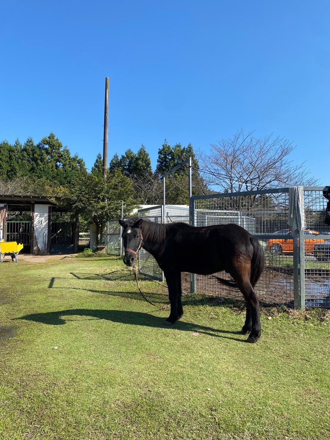 ダミーイベントなので無視してください🐴