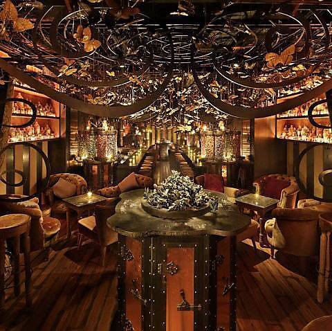 【早割中】おとぎ話の世界？妖精のいるカフェ&バーに行こう🐤🐤