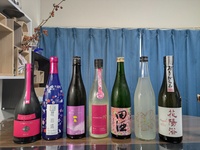 日本酒でお花見@大宮公園🌸初参加、お一人様大歓迎！