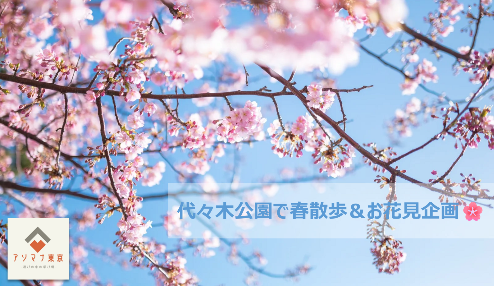 【20代女性主催】代々木公園で春散歩＆お花見企画🌸