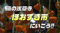 一生分の功徳が得られる縁日「四万六千日・ほおずき市」に行こう（╹◡╹）