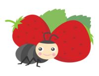 🍓いちご狩り🍓京都散策🌸春の味覚を満喫しよう！