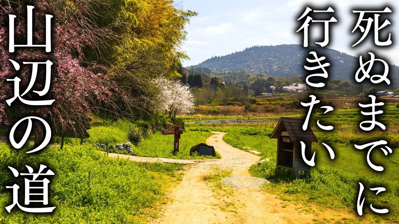 【5月24日】日本史上最古の道 山辺の道ハイキング
