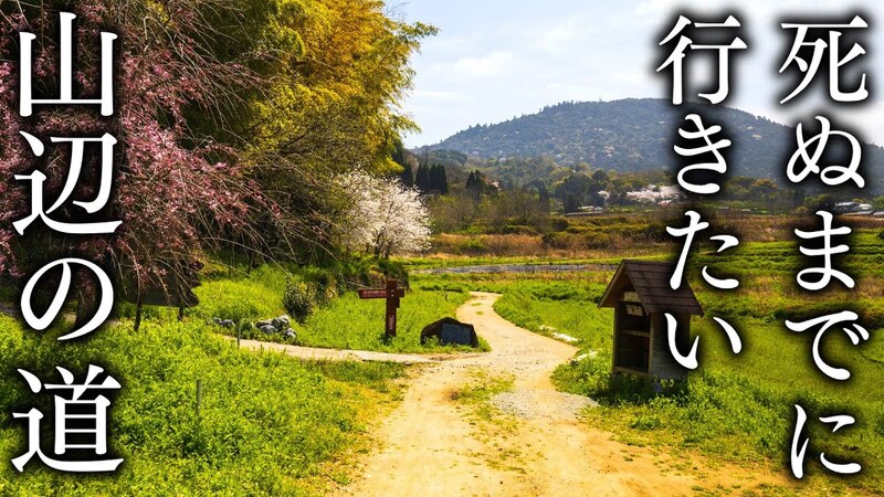 【5月24日】日本史上最古の道 山辺の道ハイキング