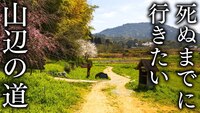 【5月24日】日本史上最古の道 山辺の道ハイキング