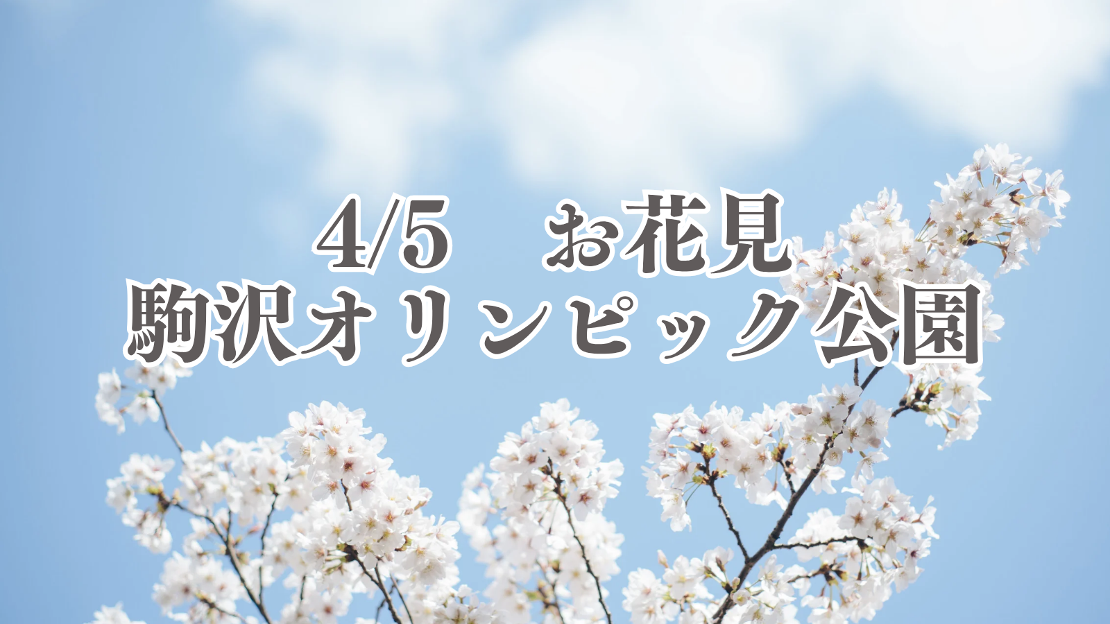 【女性主催】駒沢公園で夜桜花見🌸