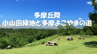 多摩丘陵にあるのどかな谷戸と小山田緑地を巡ります♪