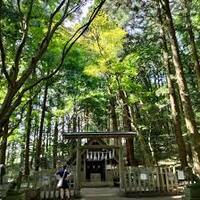 メンバー限定募集【秩父の自然豊かな神社で癒されよう！】4/29 11時　秩父　宝登山神社！　【早割り参加費還元！】