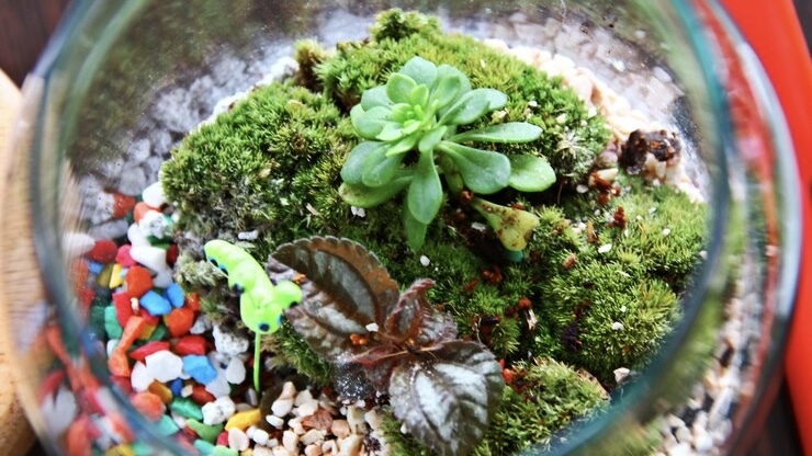 🌱30代からの友達作り/苔テラリウム作り体験🌱お一人参加大歓迎⭐︎