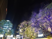 4/20 ゆったり夜さんぽ🚶🏻✨